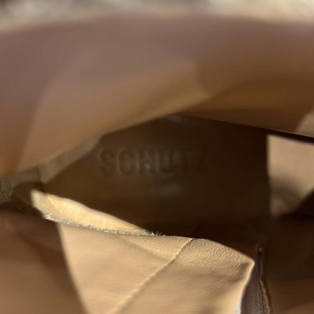 👢SCHUTZ Python Boots! - Picture 11 of 13